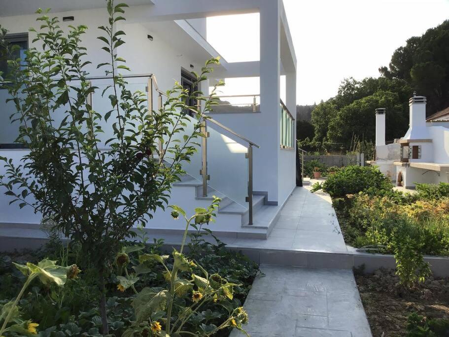 Zante Luxury Apartment Argassi Ngoại thất bức ảnh